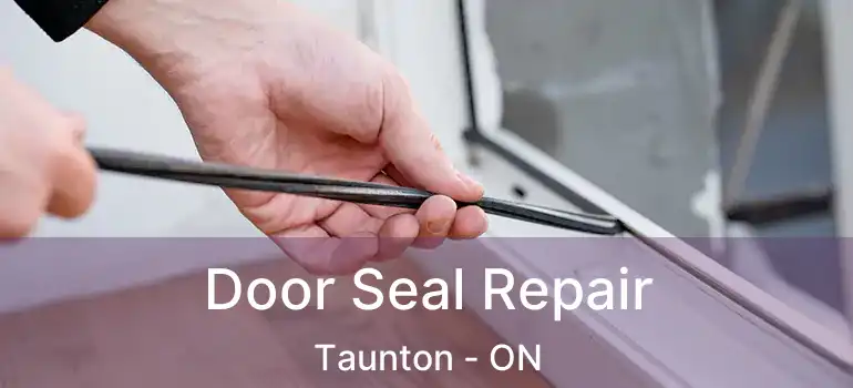 Door Seal Repair Taunton - ON