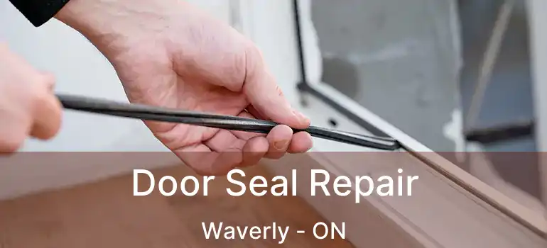 Door Seal Repair Waverly - ON