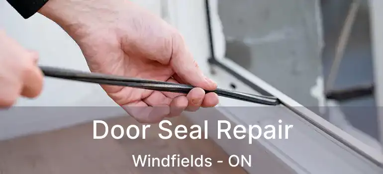 Door Seal Repair Windfields - ON