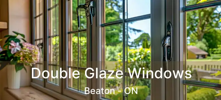  Double Glaze Windows Beaton - ON
