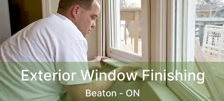  Exterior Window Finishing Beaton - ON