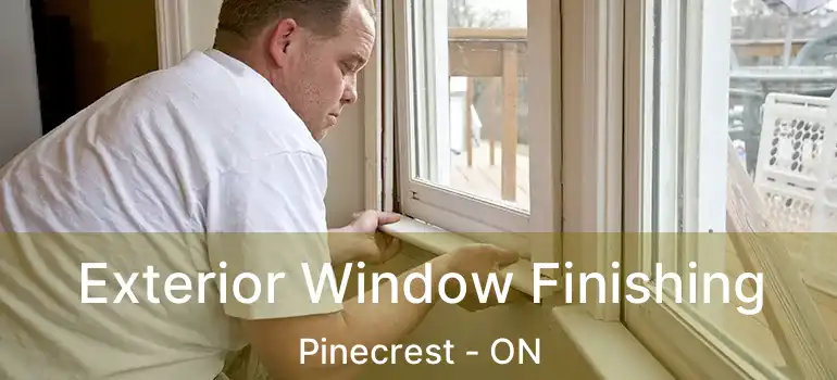Exterior Window Finishing Pinecrest - ON