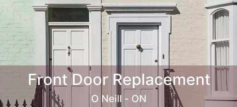  Front Door Replacement O Neill - ON
