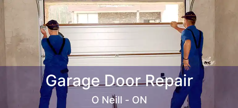 Garage Door Repair O Neill - ON