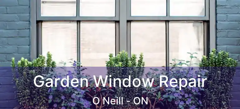 Garden Window Repair O Neill - ON