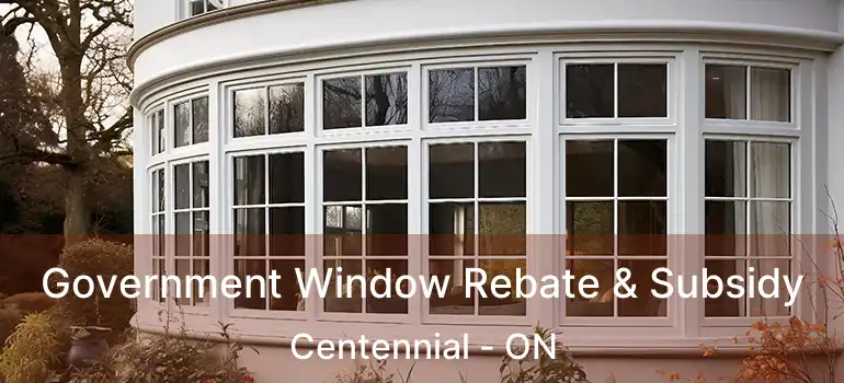  Government Window Rebate & Subsidy Centennial - ON