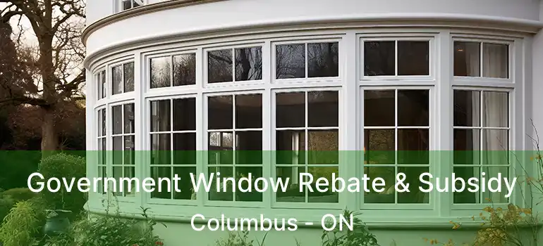  Government Window Rebate & Subsidy Columbus - ON