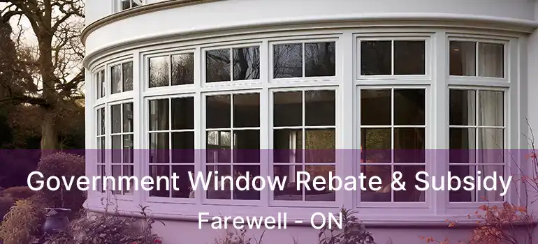  Government Window Rebate & Subsidy Farewell - ON
