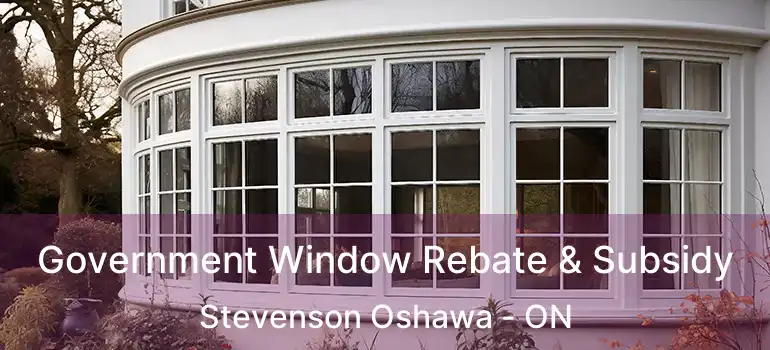  Government Window Rebate & Subsidy Stevenson Oshawa - ON