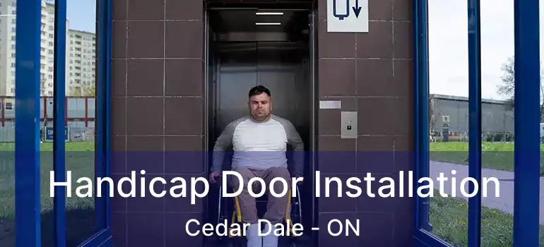 Handicap Door Installation Cedar Dale - ON