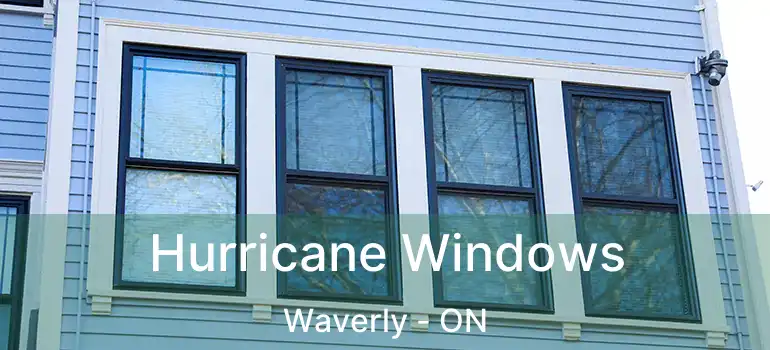  Hurricane Windows Waverly - ON