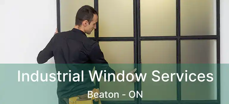 Industrial Window Services Beaton - ON