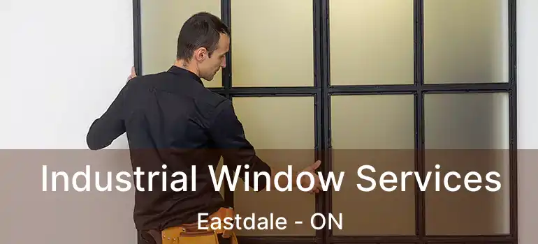 Industrial Window Services Eastdale - ON