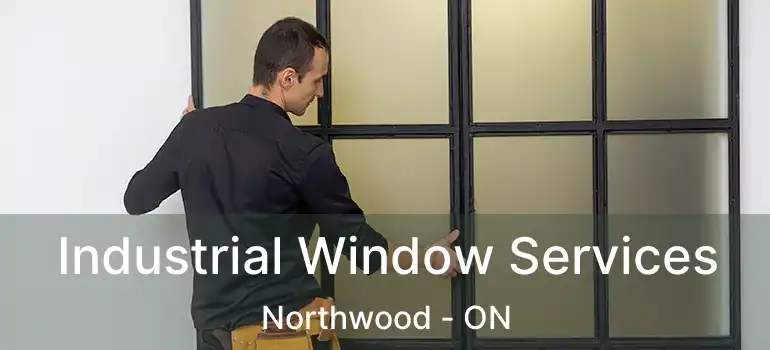 Industrial Window Services Northwood - ON