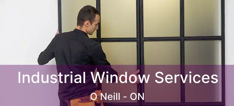 Industrial Window Services O Neill - ON