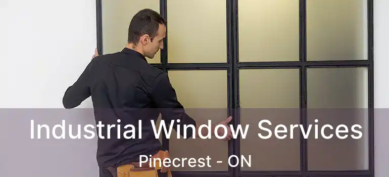 Industrial Window Services Pinecrest - ON