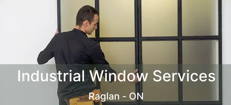 Industrial Window Services Raglan - ON
