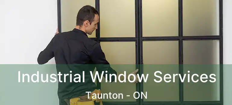 Industrial Window Services Taunton - ON