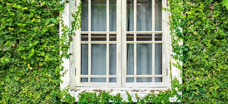 Garden Window Repair Near Me in Eastdale, ON