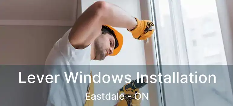 Lever Windows Installation Eastdale - ON