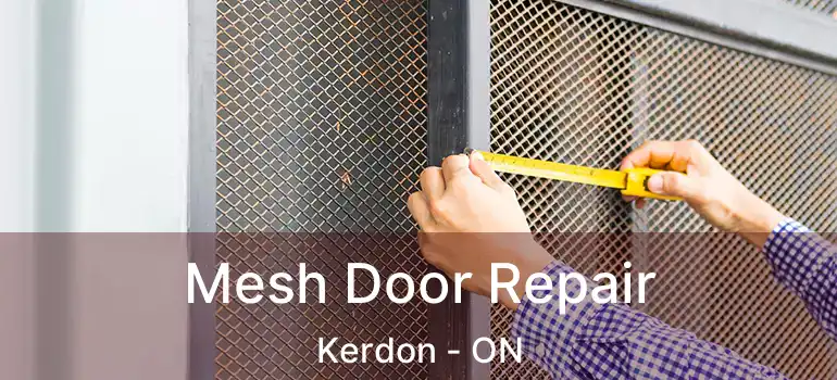  Mesh Door Repair Kerdon - ON