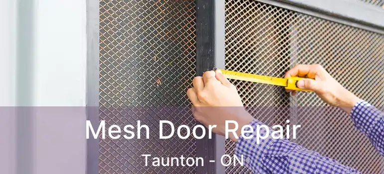  Mesh Door Repair Taunton - ON
