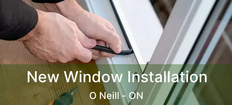 New Window Installation O Neill - ON
