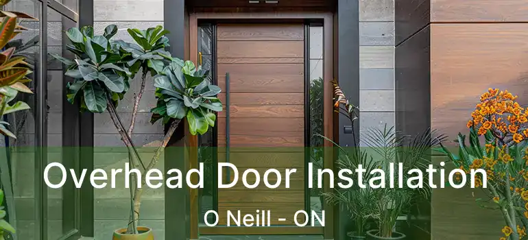  Overhead Door Installation O Neill - ON