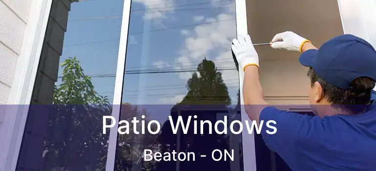  Patio Windows Beaton - ON