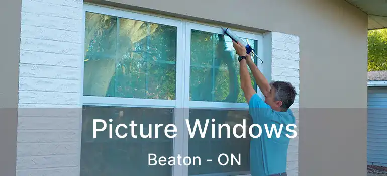 Picture Windows Beaton - ON