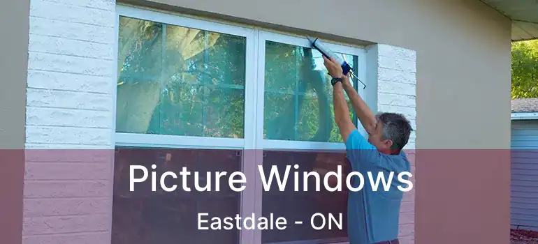 Picture Windows Eastdale - ON
