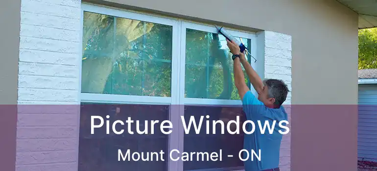 Picture Windows Mount Carmel - ON
