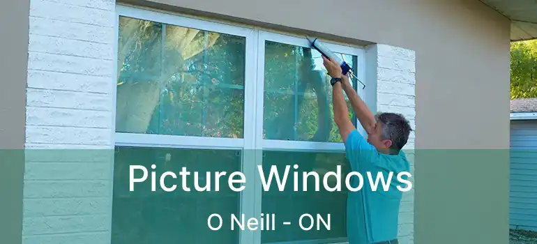 Picture Windows O Neill - ON