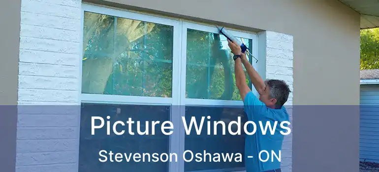  Picture Windows Stevenson Oshawa - ON