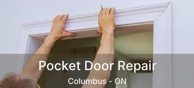  Pocket Door Repair Columbus - ON