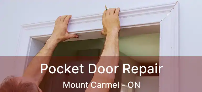  Pocket Door Repair Mount Carmel - ON