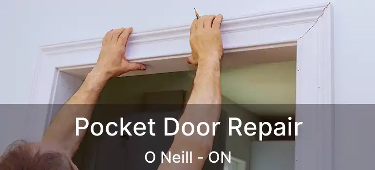  Pocket Door Repair O Neill - ON