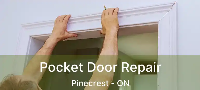  Pocket Door Repair Pinecrest - ON