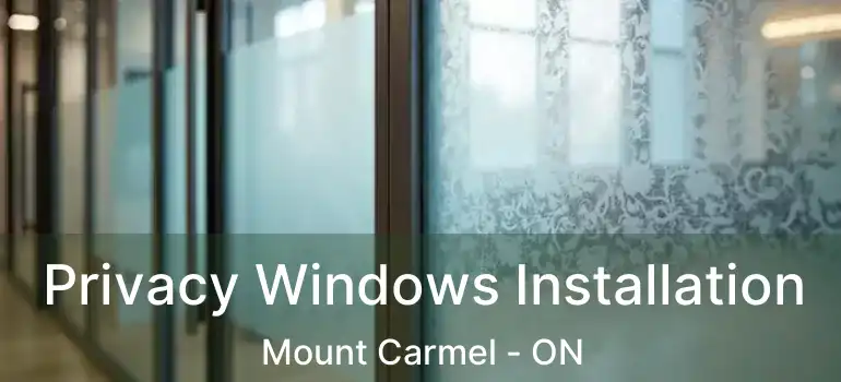  Privacy Windows Installation Mount Carmel - ON