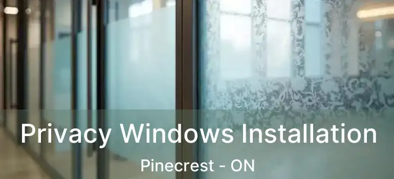 Privacy Windows Installation Pinecrest - ON