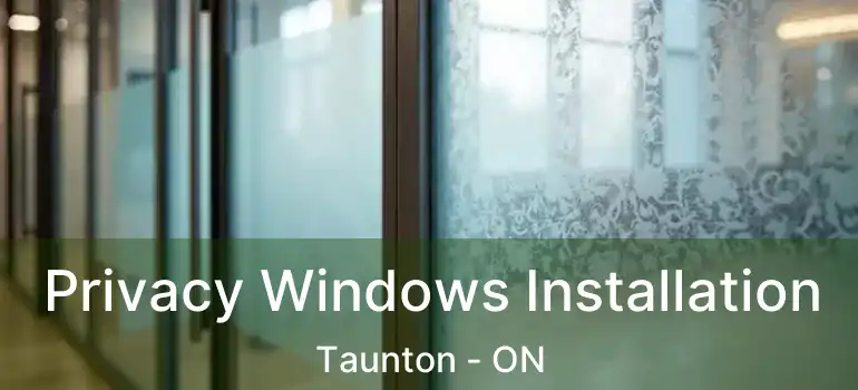  Privacy Windows Installation Taunton - ON