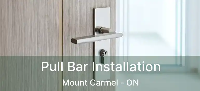 Pull Bar Installation Mount Carmel - ON