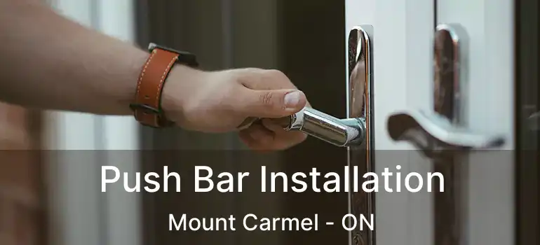  Push Bar Installation Mount Carmel - ON
