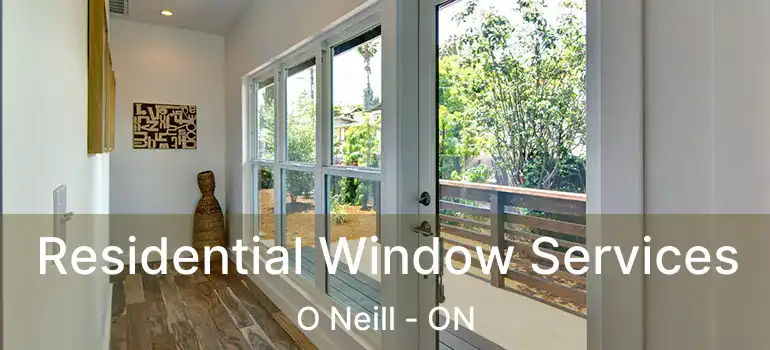 Residential Window Services O Neill - ON