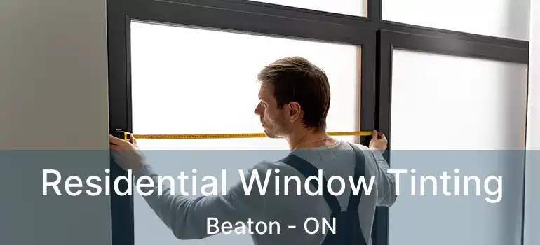  Residential Window Tinting Beaton - ON