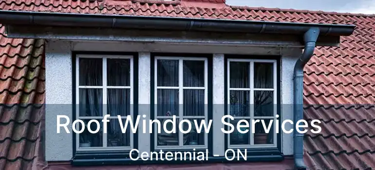 Roof Window Services Centennial - ON