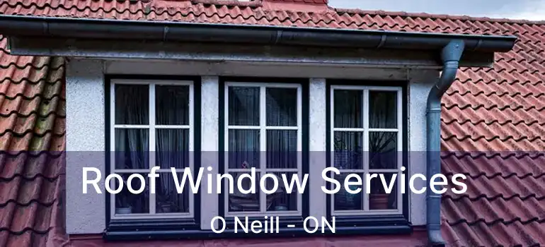  Roof Window Services O Neill - ON