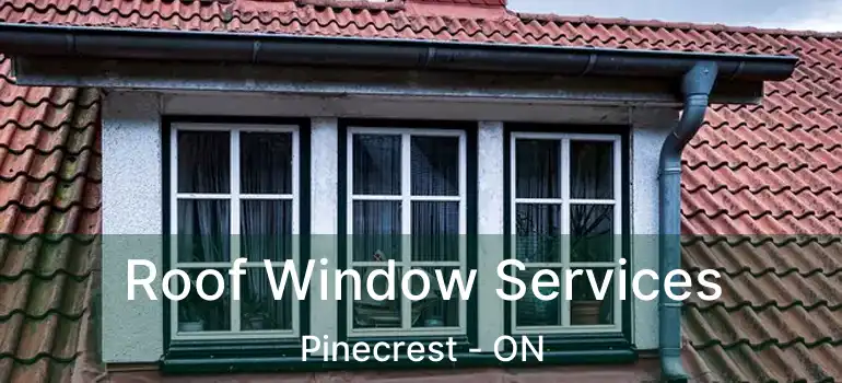 Roof Window Services Pinecrest - ON