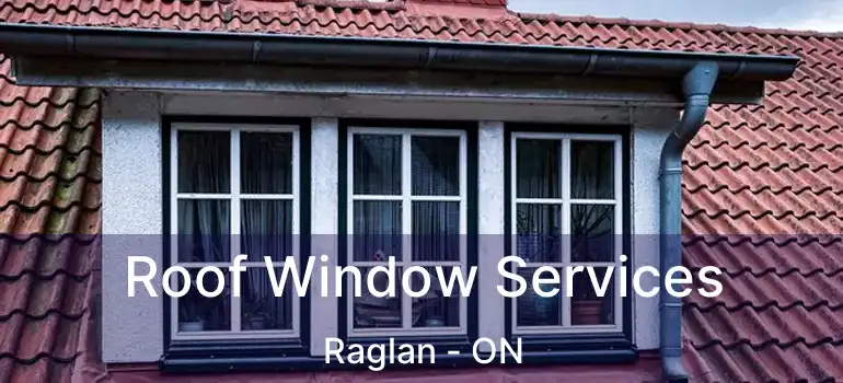  Roof Window Services Raglan - ON
