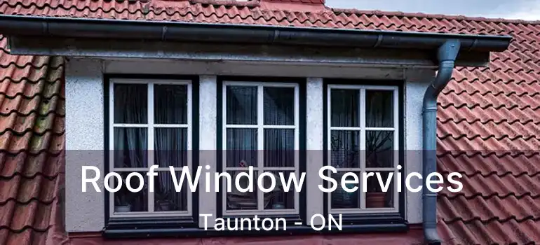  Roof Window Services Taunton - ON